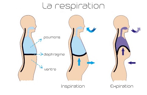 Schema-respiration-copy - RelaxOgym.fr